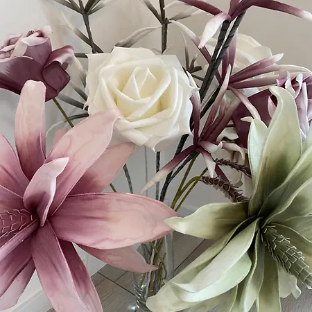 Ostseenahe Erholung Ruhe Komfort In Guter Lage Apartmán Kamien Pomorski